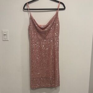 Greylin Sparkling Rose Mini Dress